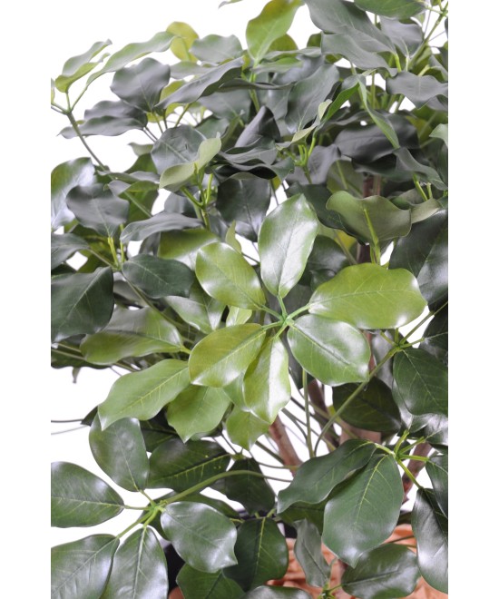 Artificial Schefflera EXOTICA BUSH