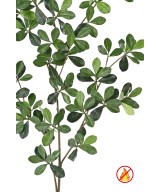 Kunstfikus musta oliivi idamaine dekoratiivoks FR - tulekindel