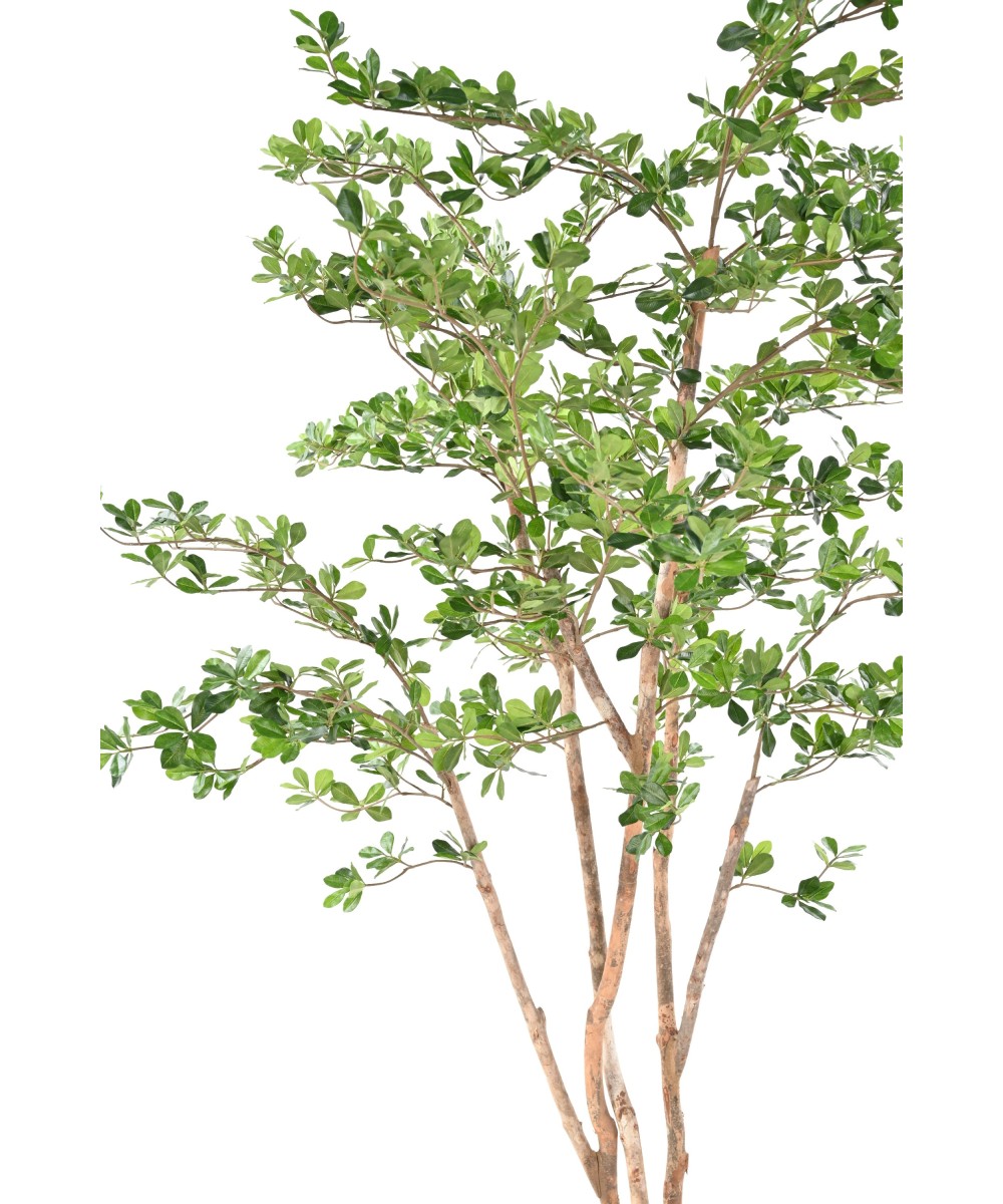 Artificial Ficus Black Olive Oriental 180