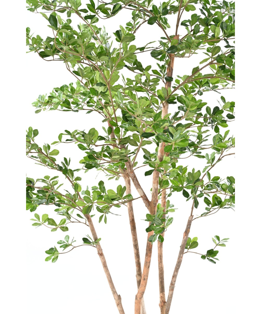 Artificial Ficus Black Olive Oriental 180
