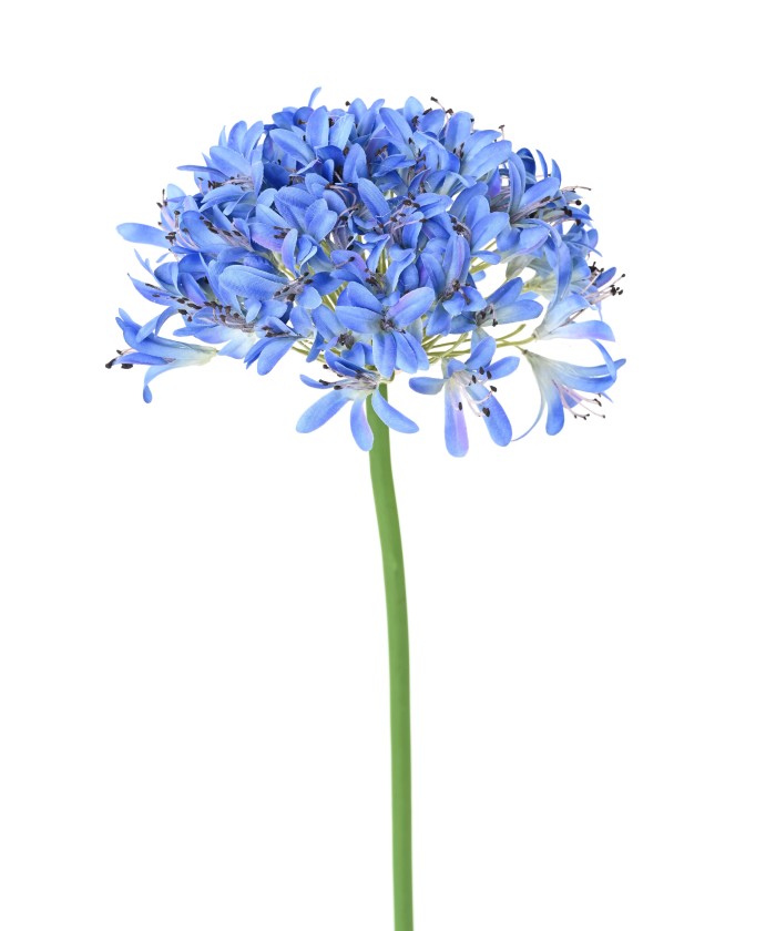 Artificial agapanthus stem
