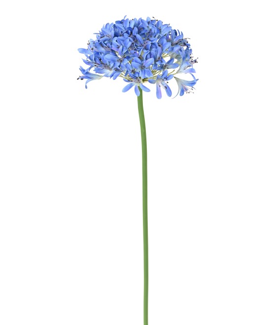 Artificial agapanthus stem