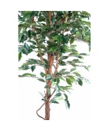 Artificial Ficus SINGLE TRUNK LL