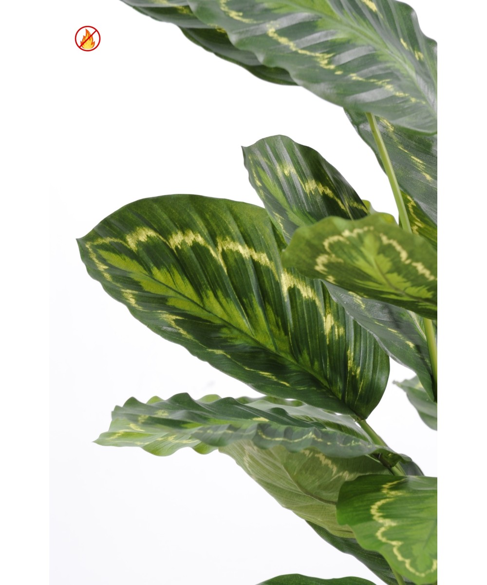 Kunstlik Calathea roseopicta FR - tulekindel