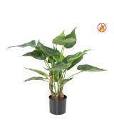 Artificial Alocasia cucullata FR - Fire Resistant