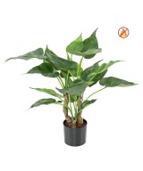 Artificial Alocasia cucullata FR - Fire Resistant