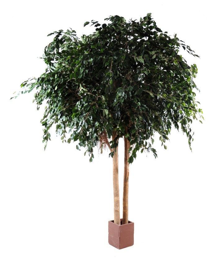 Artificial Ficus EXOTICA GIANT