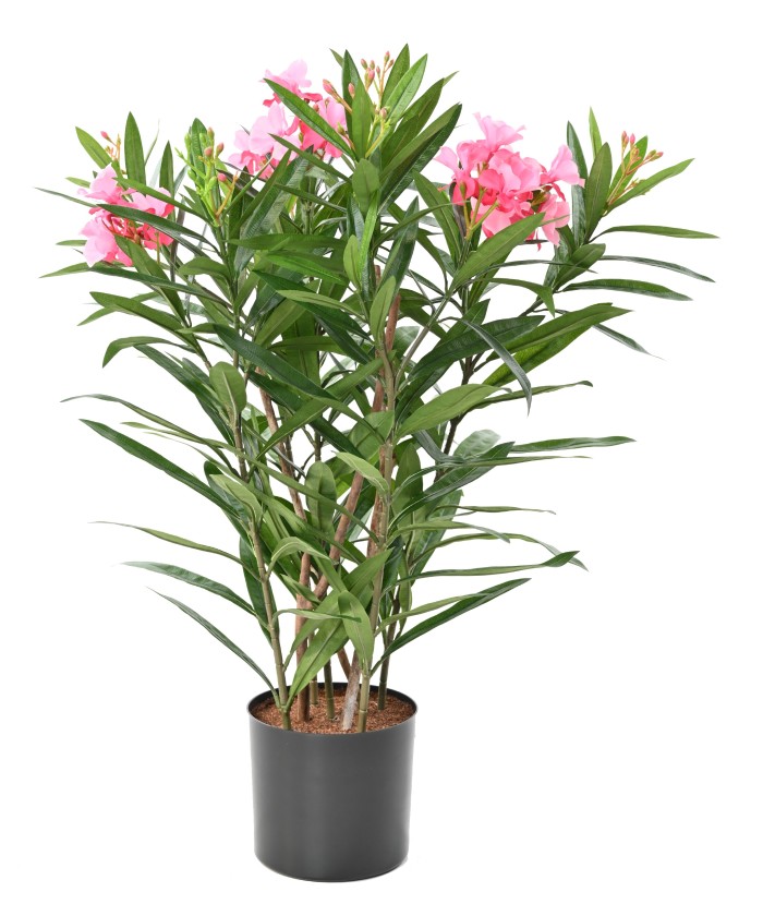 Artificial Laurel flower 75