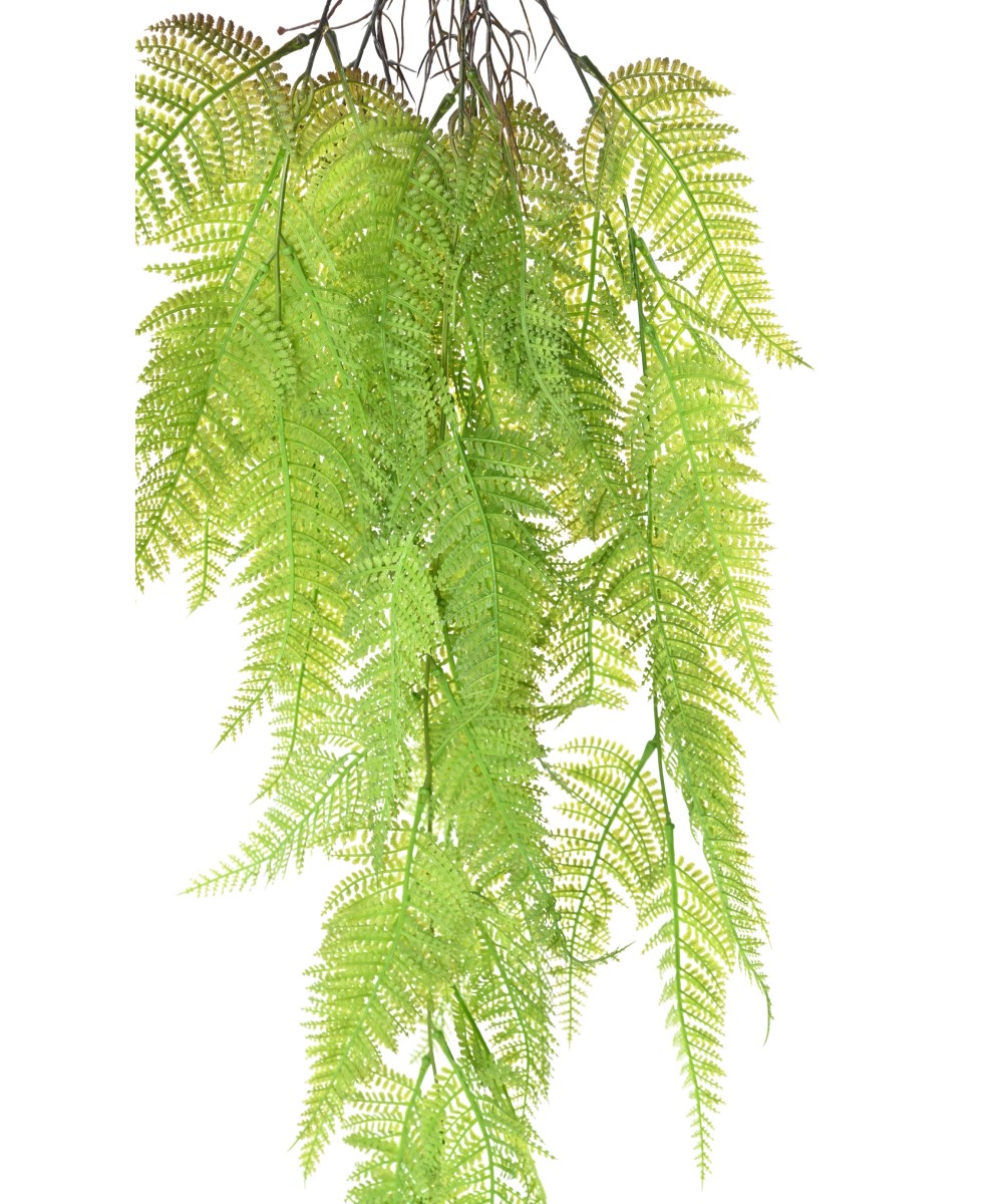 Kunstlik sõnajalg Athyrium 92
