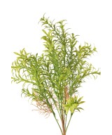 Artificial Hydrilla Whorled Hydrilla 43
