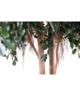 Artificial Ficus EXOTICA GIANT