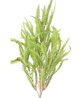 Kunstlik Nephrolepis 68 (sõnajalg)