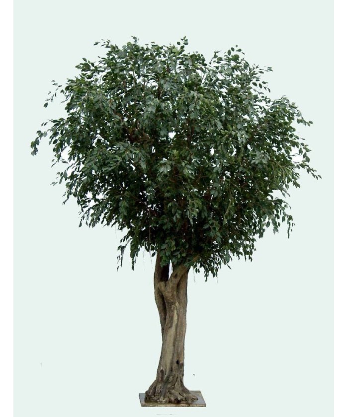 Artificial ficus GIANT TREE