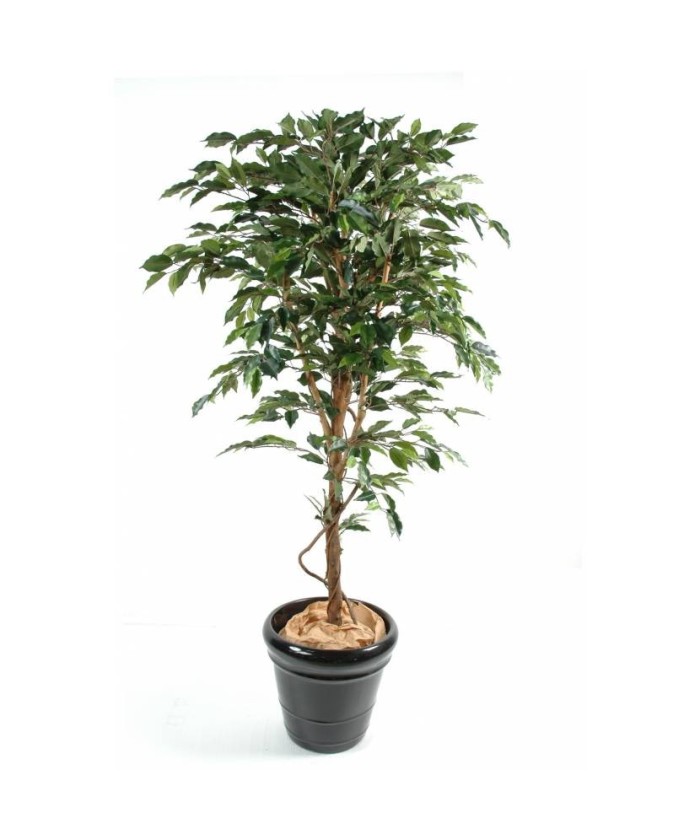 Artificial Ficus SINGLE TRUNK LL