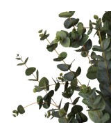 Artificial Eucalyptus 155