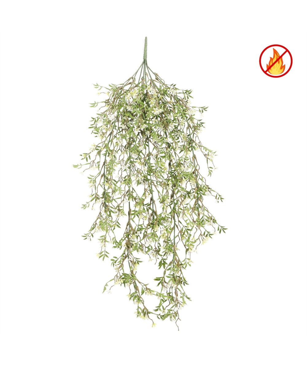 Sutera cordata Hanging Bush 85 UV/FR – UV Resistant / Fire Resistant