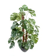 Kunstfilodendron MONSTERA KOOKOSPÕLVAL