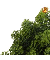 Kunstlik Selaginella UV/FR – UV-kindel / tulekindel