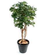 Kunstlik Schefflera beebipuu