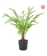 Artificial Dicksonia (Fern) New FR – Fire Resistant