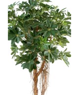 Kunstlik Schefflera beebipuu