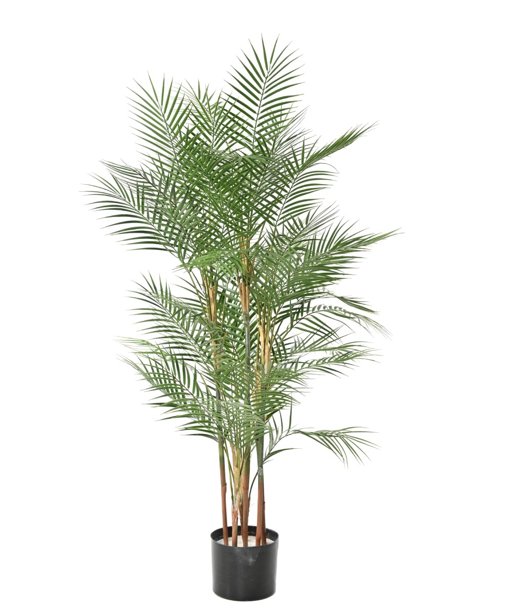 Artificial Areca Dif 140