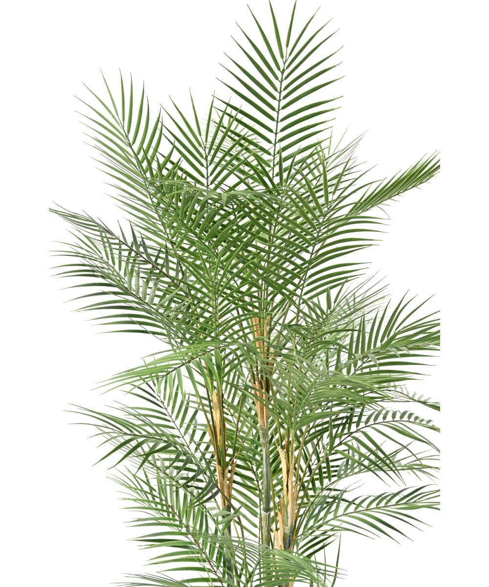 Artificial Areca Dif 140