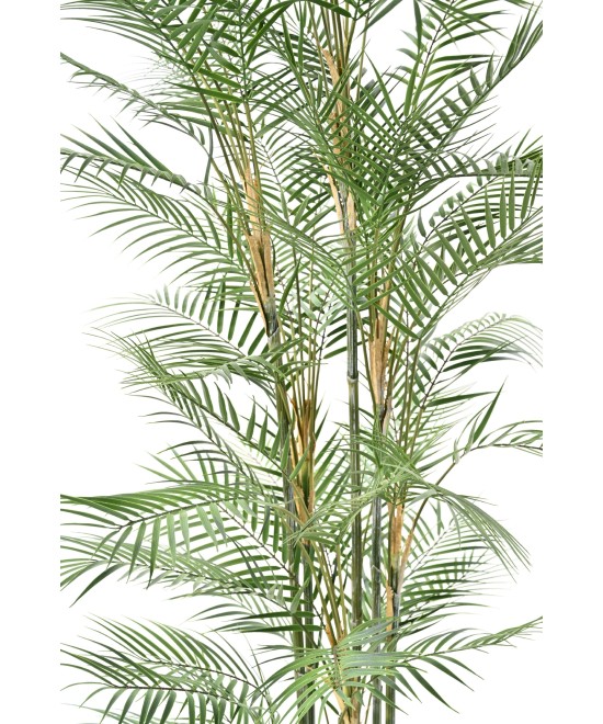 Artificial Areca Dif 185
