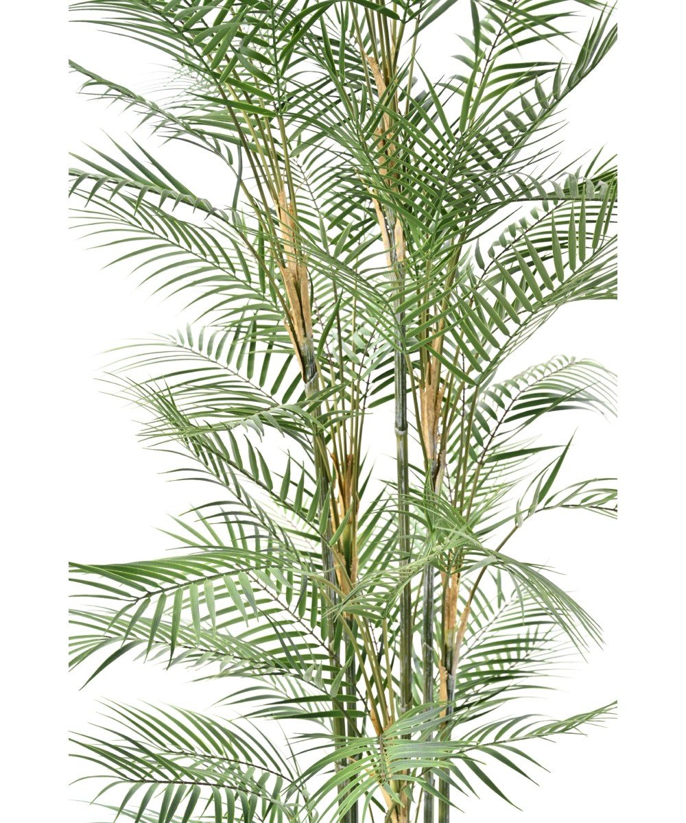 Artificial Areca Dif 185