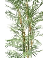 Artificial Areca Dif 185
