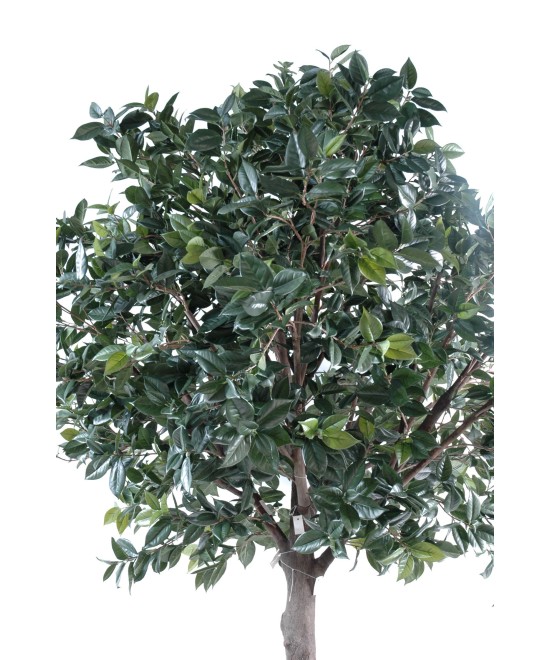 Artificial fruit tree PLATE (camellia japonica tree)