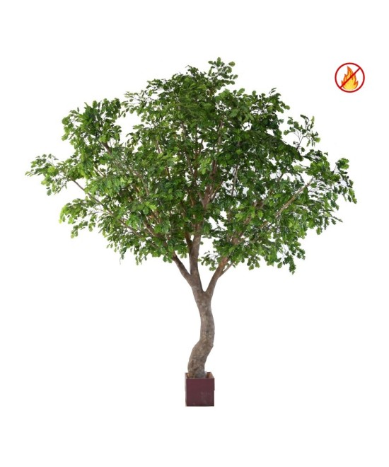 CHENE S ARBRE 360 FR - Tulekindel