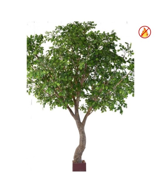 CHENE S ARBRE 360 FR - Tulekindel