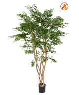 ACACIA Artificel 180 FR – tulekindel