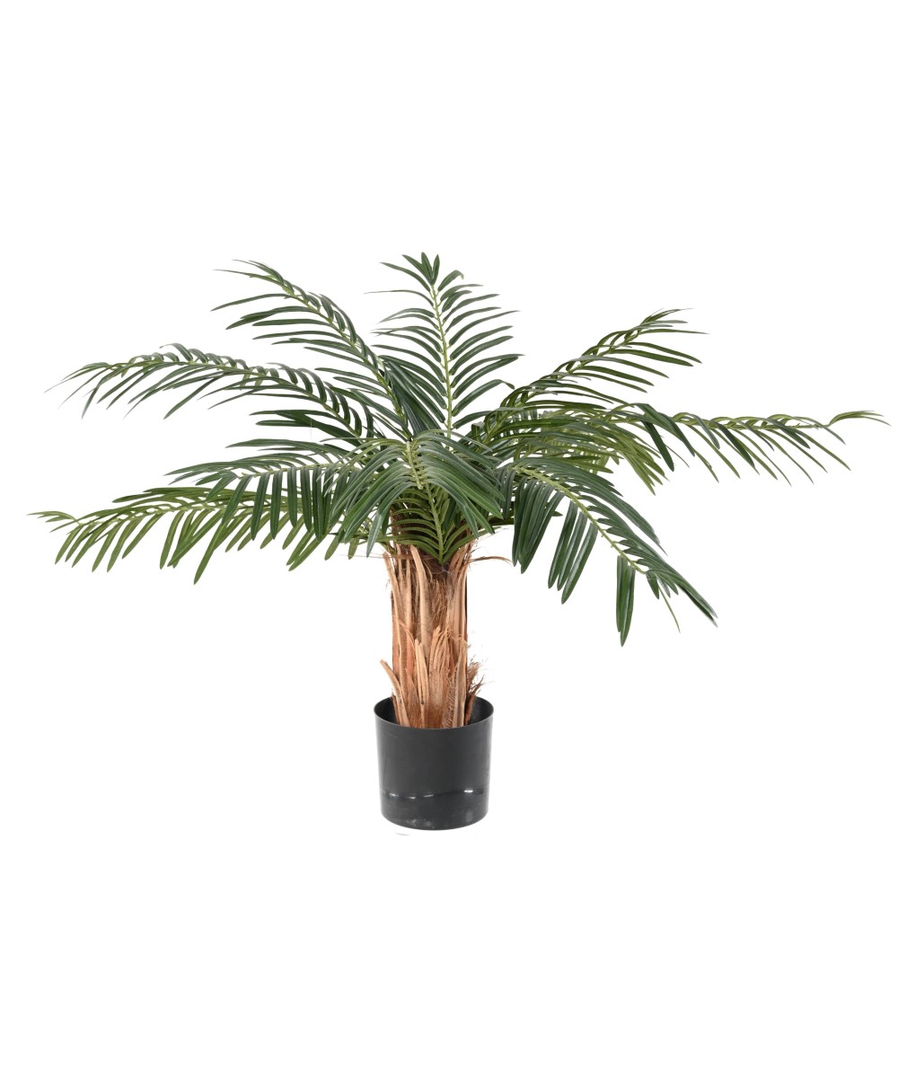Kunsttsükaad palm