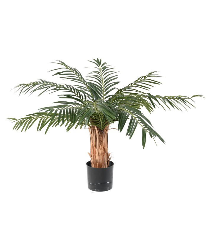 Kunsttsükaad palm