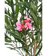 Artificial Laurel flower