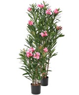 LAURIER Artificiel FLEUR