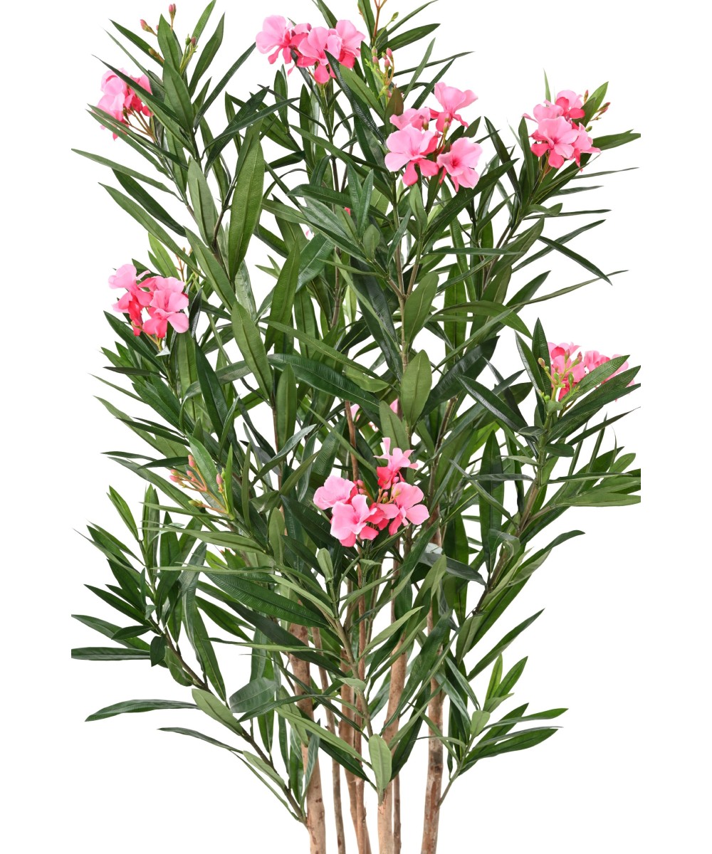 LAURIER Artificiel FLEUR