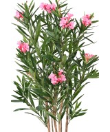 LAURIER Artificiel FLEUR