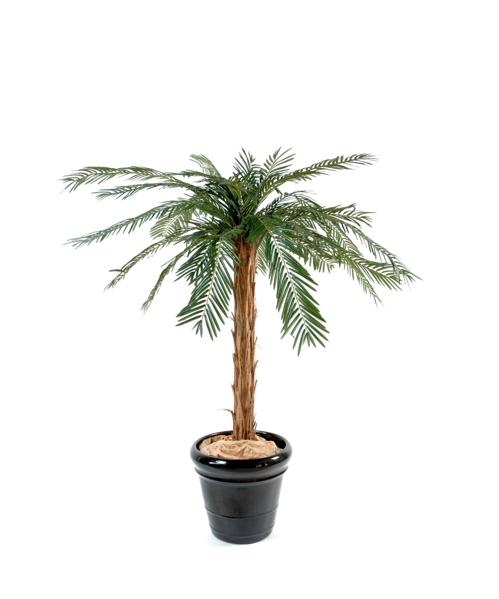 Kunsttsükaad palm