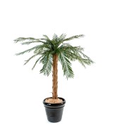 Kunsttsükaad palm
