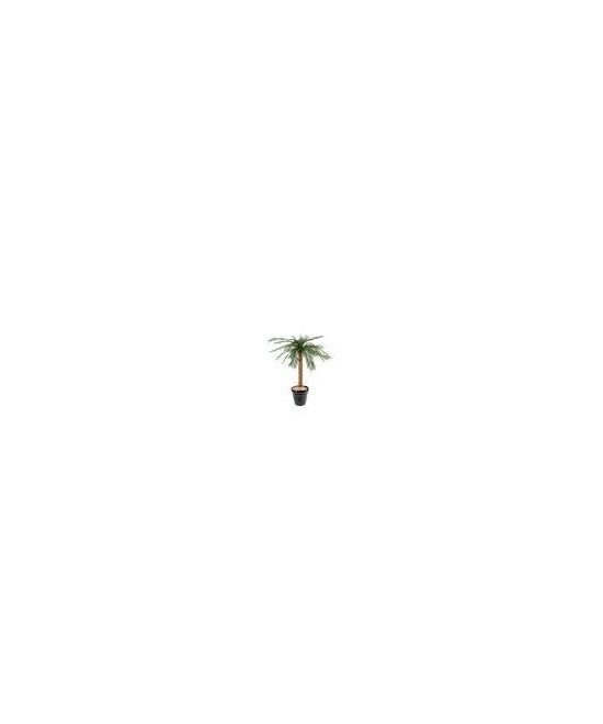 Kunsttsükaad palm