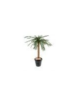 Kunsttsükaad palm