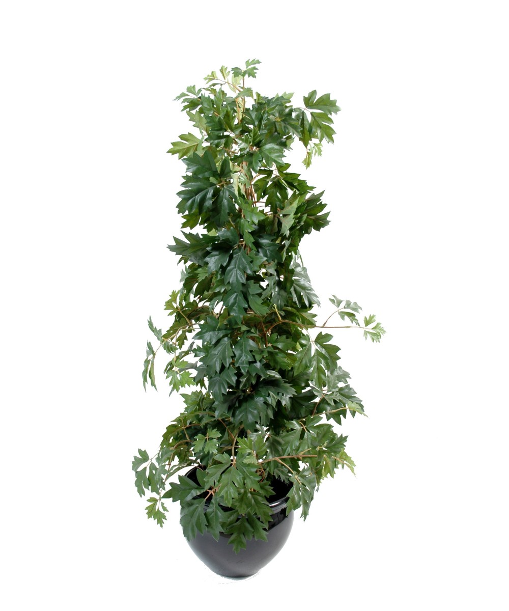 Kunstlik cissus