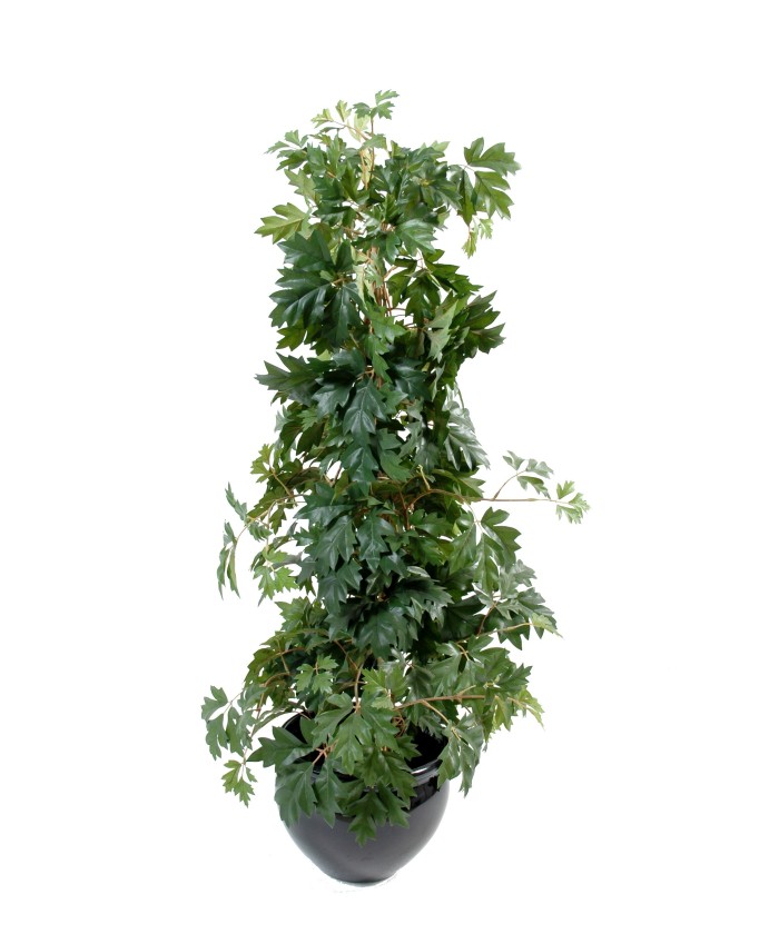 Kunstlik cissus