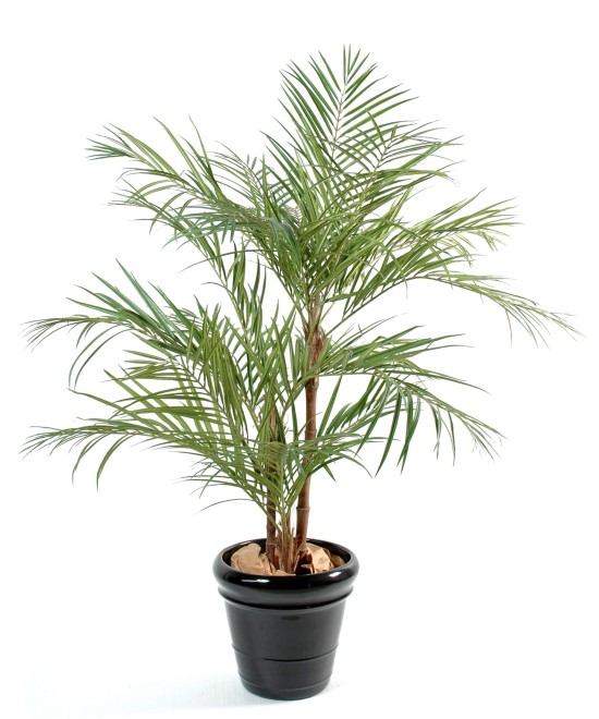 Artificial areca palm *3