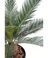 Kunsttsükaad BABY