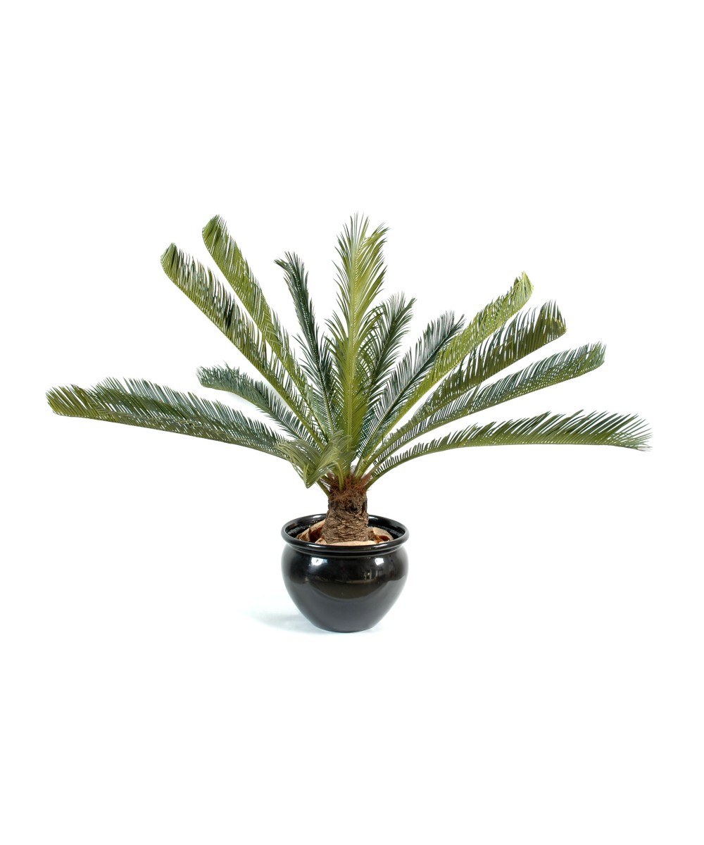 Artificial cycas GIANT *15