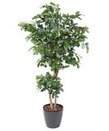 Artificial oak NEW